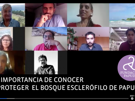 La importancia de conocer y proteger el bosque esclerófilo de Papudo La importancia de conocer y proteger el bosque esclerófilo de Papudo