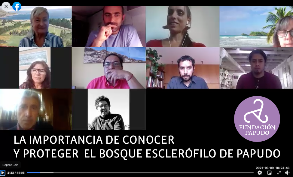 La importancia de conocer y proteger  el bosque esclerófilo de Papudo