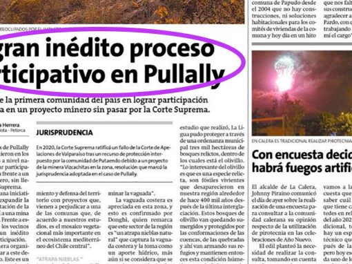 Un logro de la participación ciudadana Pullally de Papudo Un logro de la participación ciudadana Pullally de Papudo