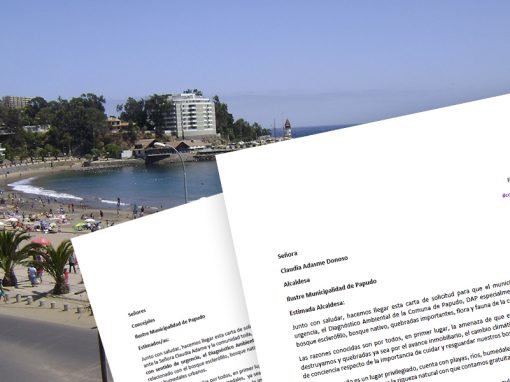 Organizaciones hacen llegar cartas a autoridades en demanda de un Diagnóstico Ambiental de la Comuna de Papudo Organizaciones hacen llegar cartas a autoridades en demanda de un Diagnóstico Ambiental de la Comuna de Papudo