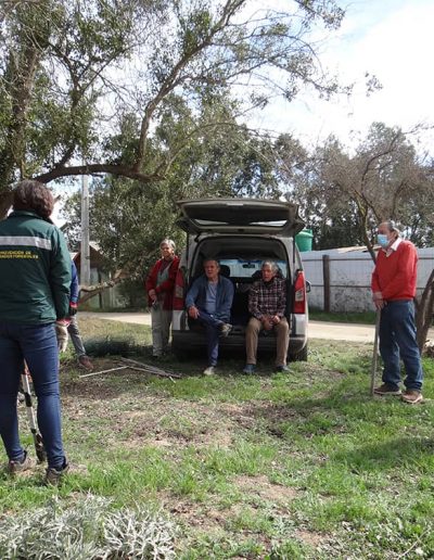 Los expertos de Conaf exponen a los vecinos cómo se debe realizar la poda del árbol nativo.