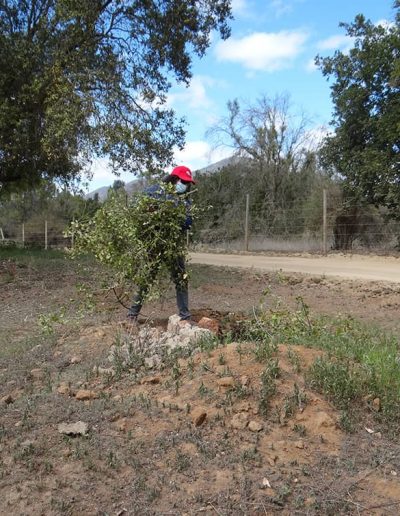 Vecina realiza el despeje y recoge las ramas de poda para colocarla en lugar apropiado.