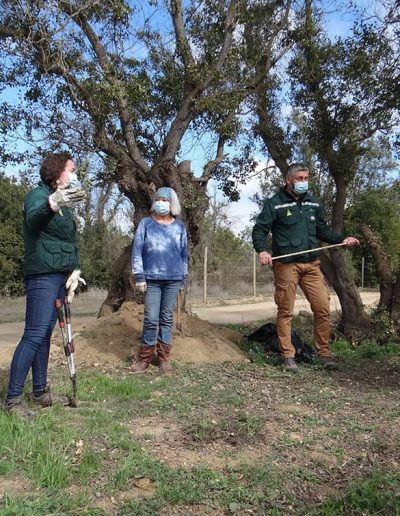 Los expertos de Conaf exponen a los vecinos cómo se debe realizar la poda del árbol nativo.